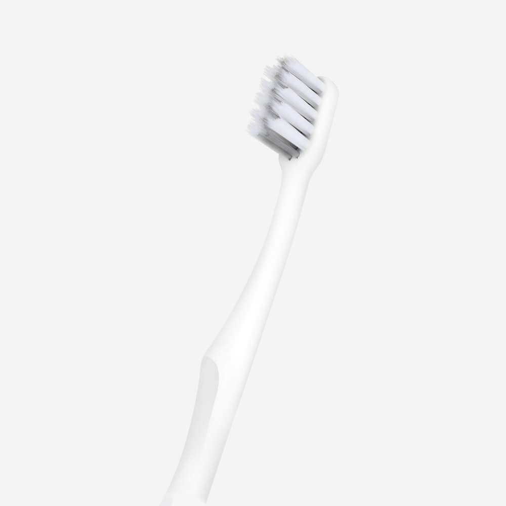 [dencle] Monthly Toothbrush